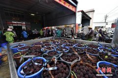 <b>福建漳州龙海区回应“问题杨梅”事务 23名干部</b>